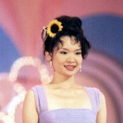 1995年亚洲小姐获奖佳丽